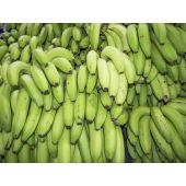 Green Bananas