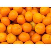 Navel Oranges