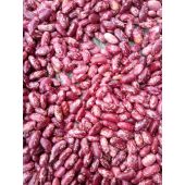 Rose Coco Bean Variety
