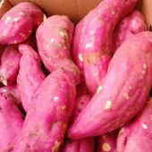 Sweet Potatoes Blisses