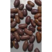  Mwezi Moja Bean Variety