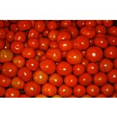 Organic  Tomatoes