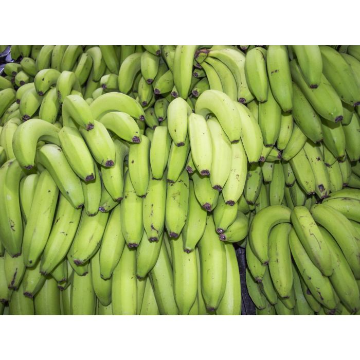 Green Bananas