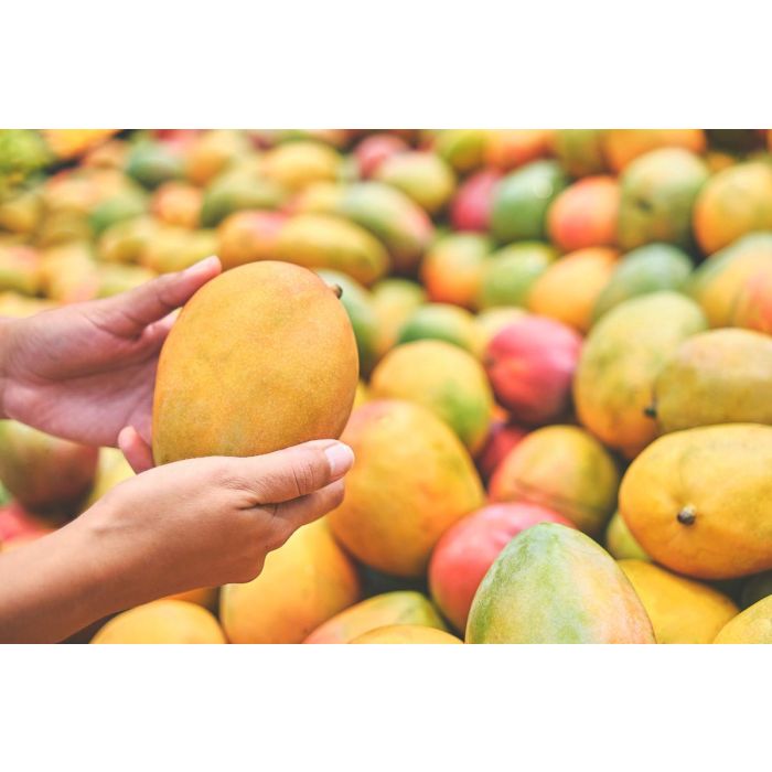 Alphonso Mangoes