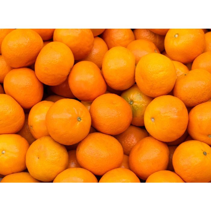 Navel Oranges
