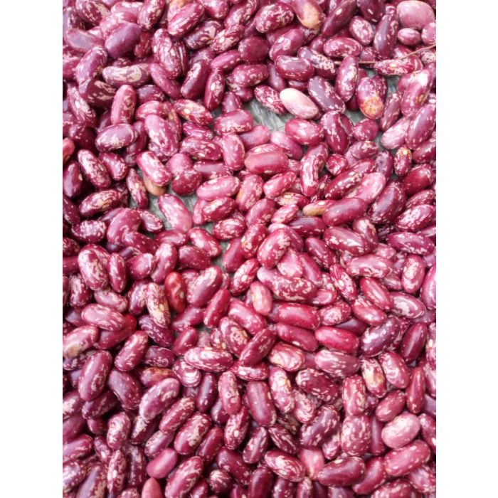 Rose Coco Bean Variety