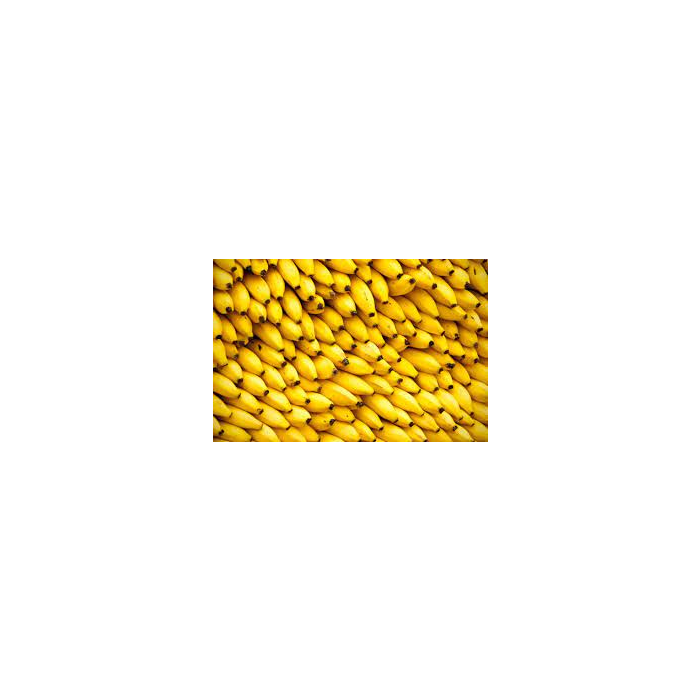 Banana Bliss Bunch