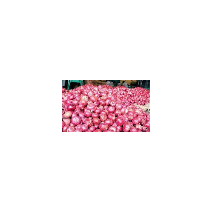 Fresh Farm-to-Table Onions