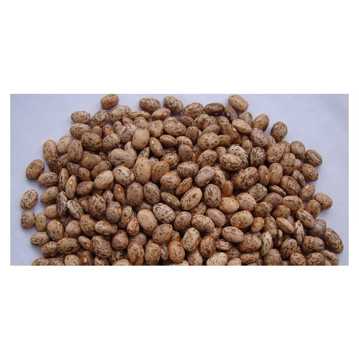  Mwitemania Bean Variety